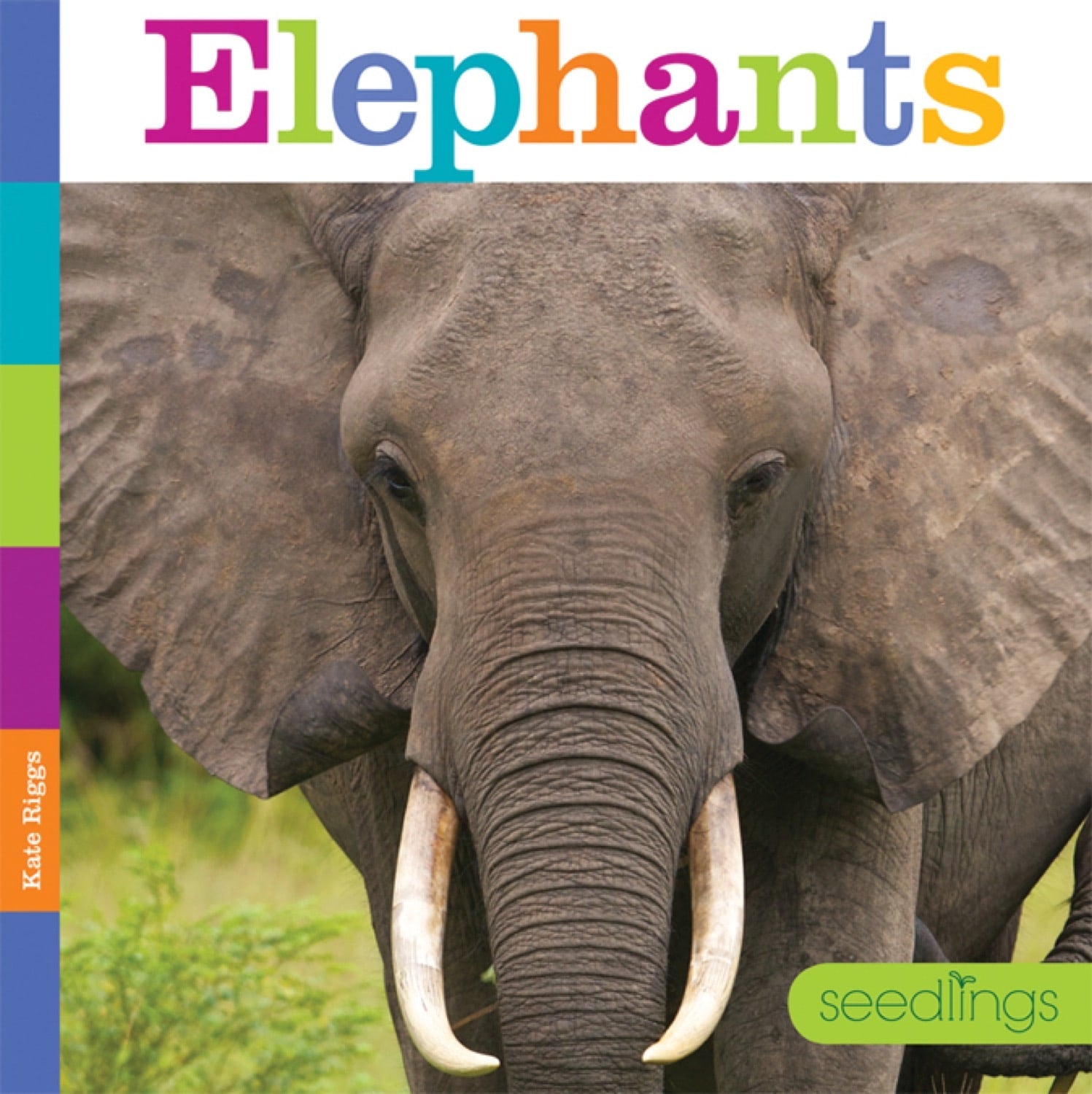 Seedlings: Elephants by The Creative Company