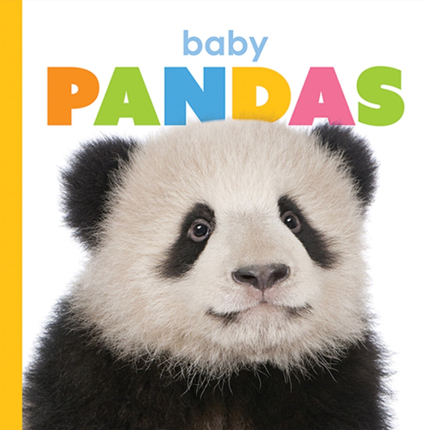 Starting Out: Baby Pandas by The Creative Company