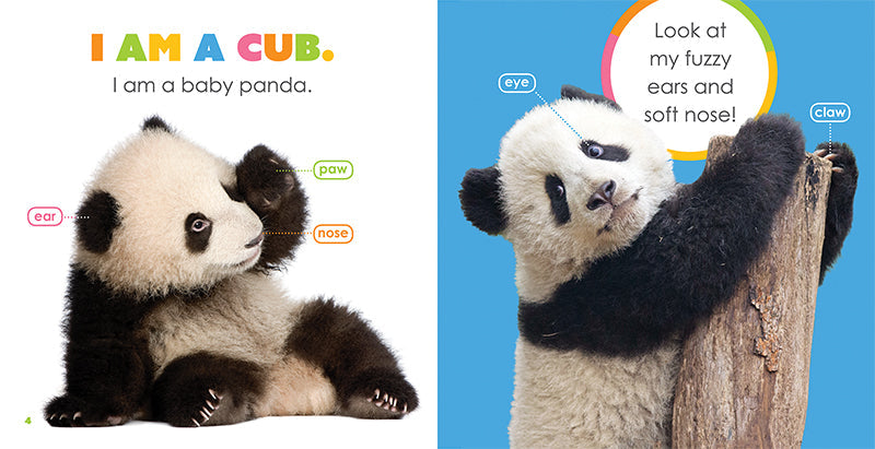 Starting Out: Baby Pandas by The Creative Company